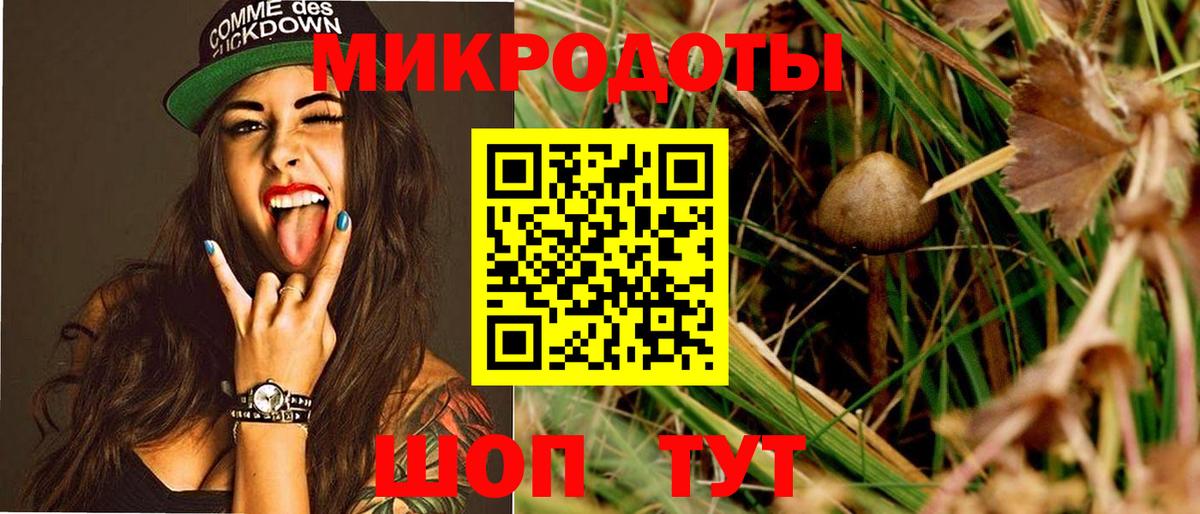 Галлюциногенные грибы мухоморы  Вход с VPN  Шадринск 