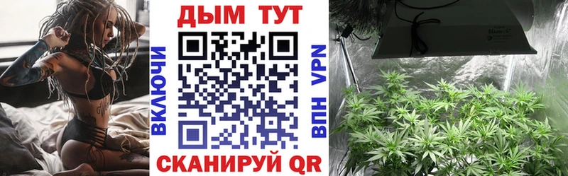 mega как зайти  Шадринск  Канабис LSD WEED 