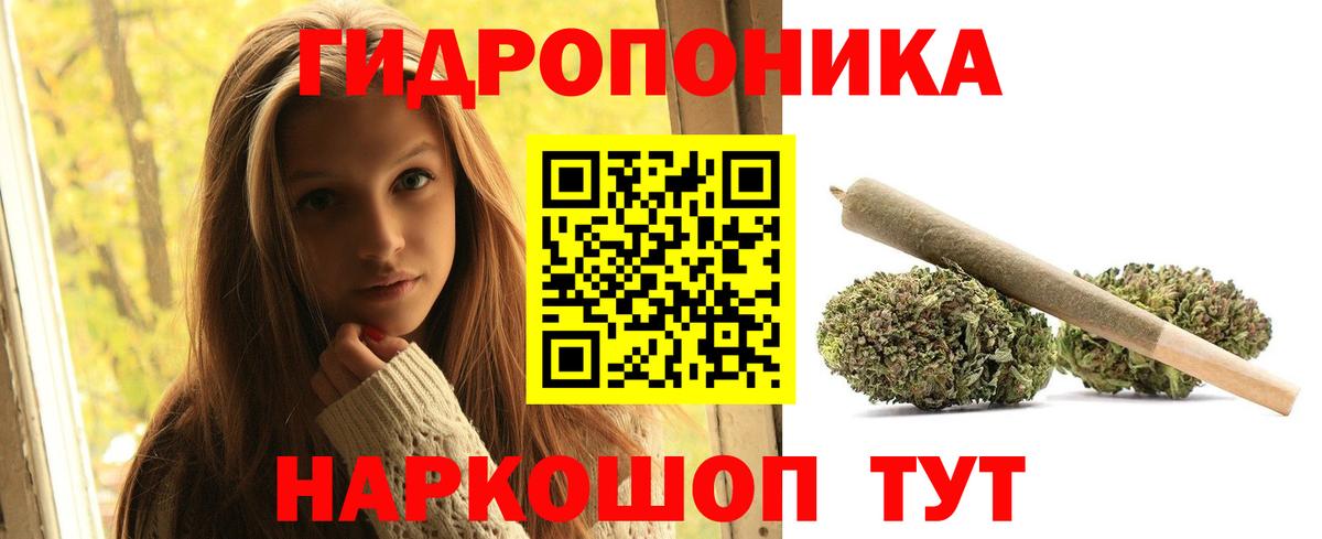 Шишки марихуана планчик  Бошки марихуана THC 21%  Шадринск  Вход с VPN  Канабис тримм 